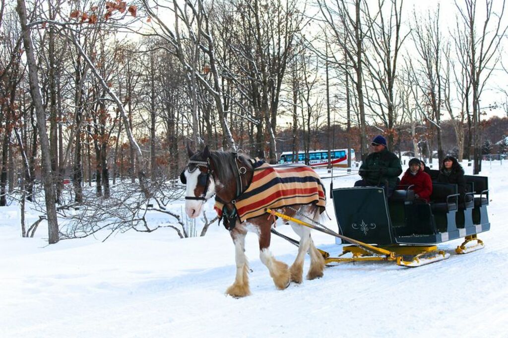 Have a galloping good time at Northern Horse Park