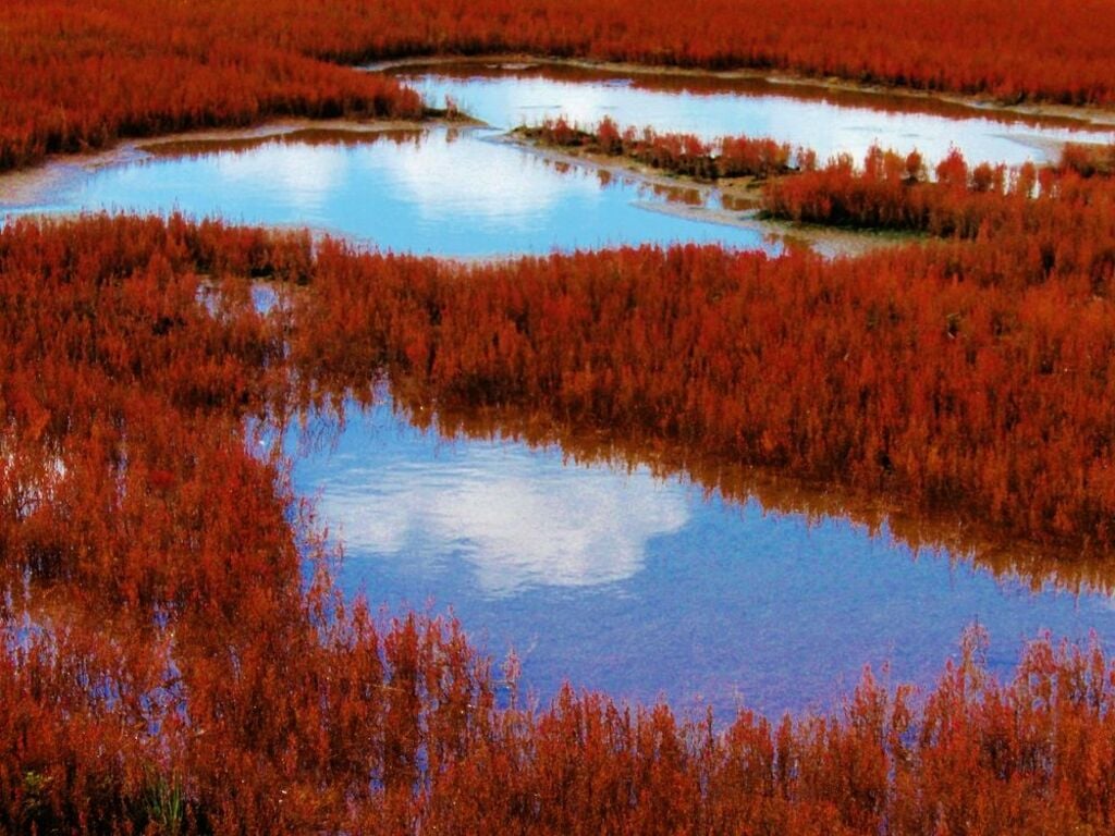 Admire the crimson colours of Lake Notoro