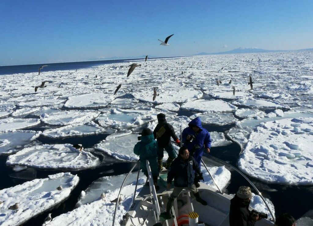 Discover Shiretoko's famous drift ice phenomenon