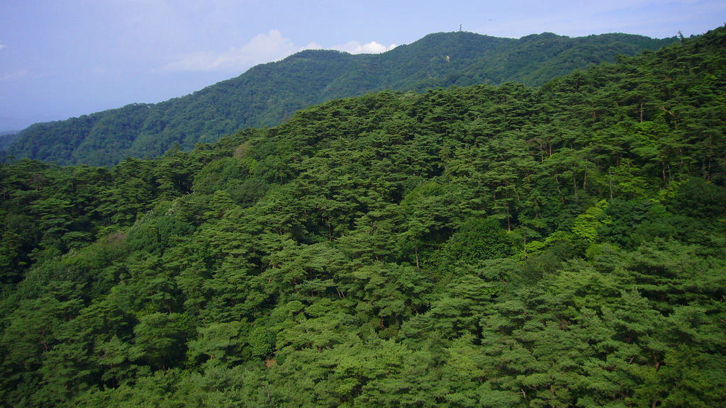 Mt rokko01s2816