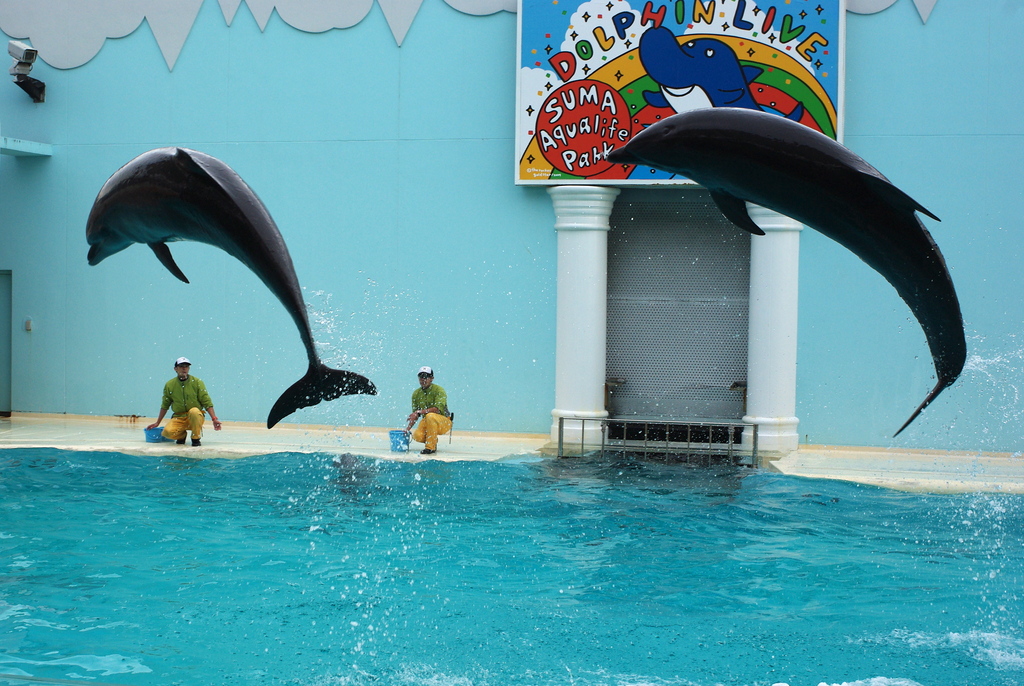 Suma aqualife park, Kobe, Japan (4159805936)