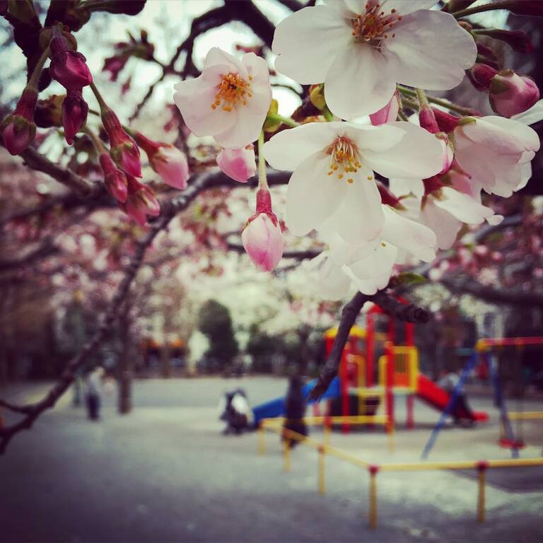 things to do in tokyo ginza | enjoy the serenity at kyōbashi park