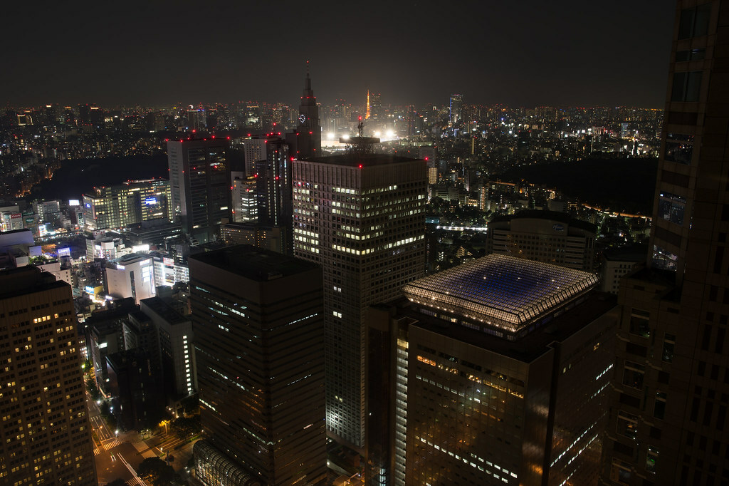 A view from Tokyo Metropolitan Government Building Observation #1