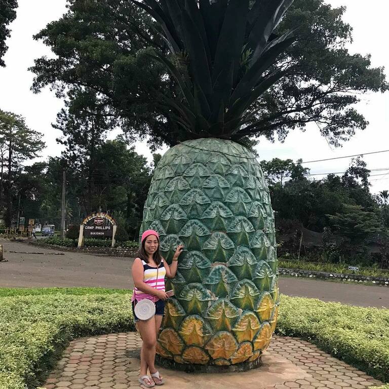 things to do in koronadal philippines | visit the pineapple plantation