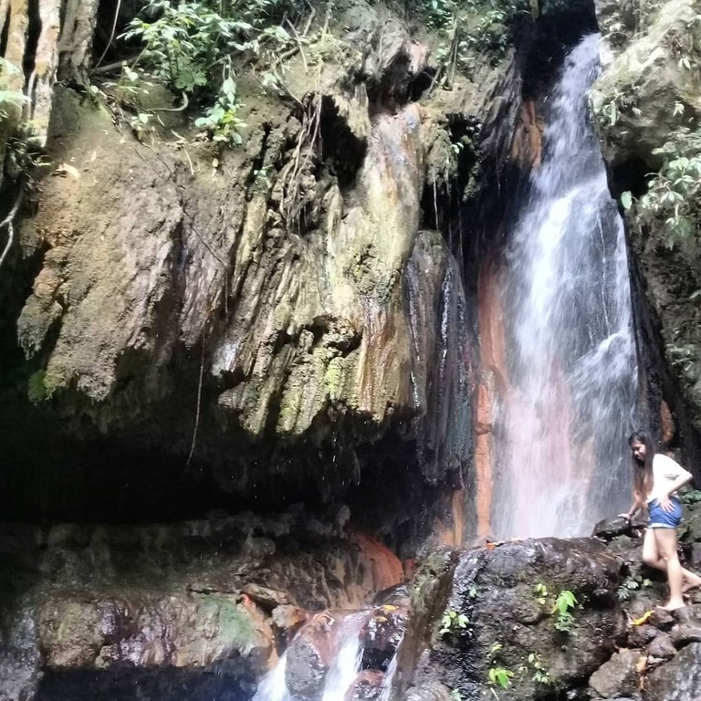 things to do in koronadal philippines | say hi to the tarsiers