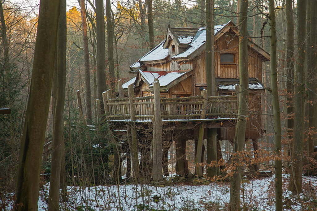 Treehouse