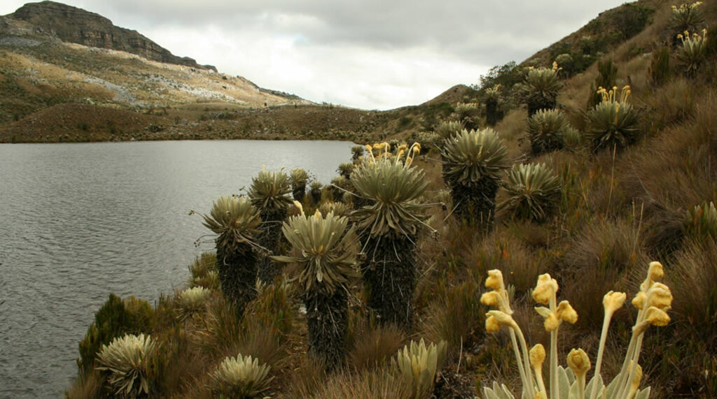 Parque Nacional Natural el Cocuy