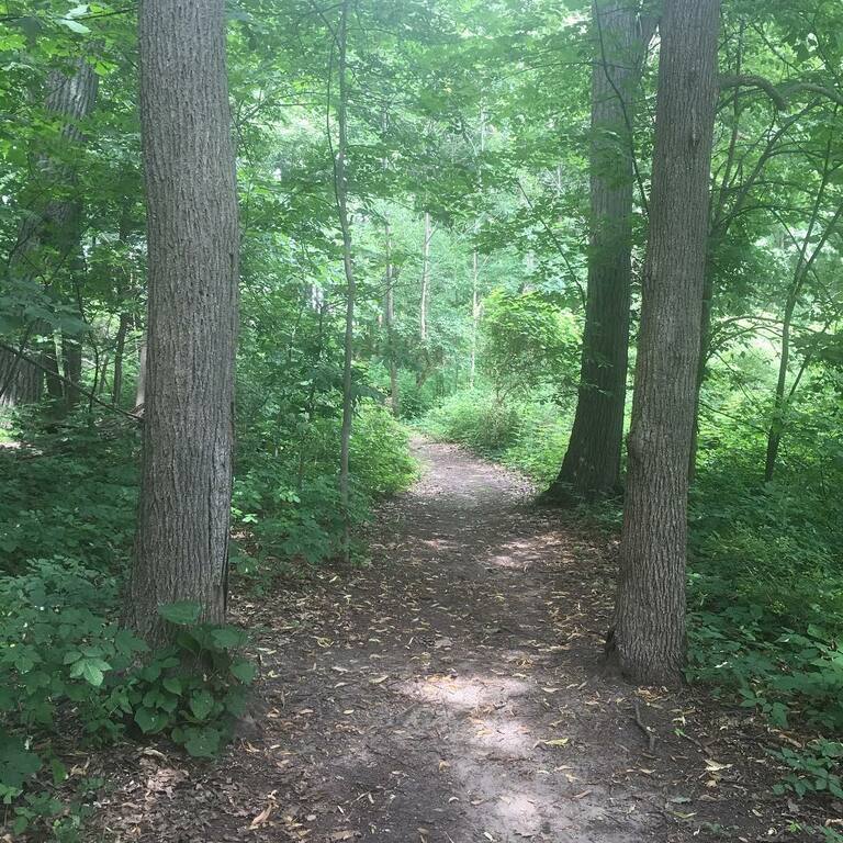 things to do in coralville ia | go hiking at auburn hills park