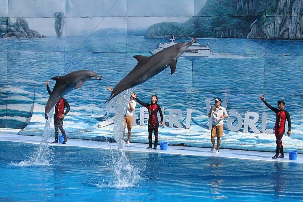 Safari World