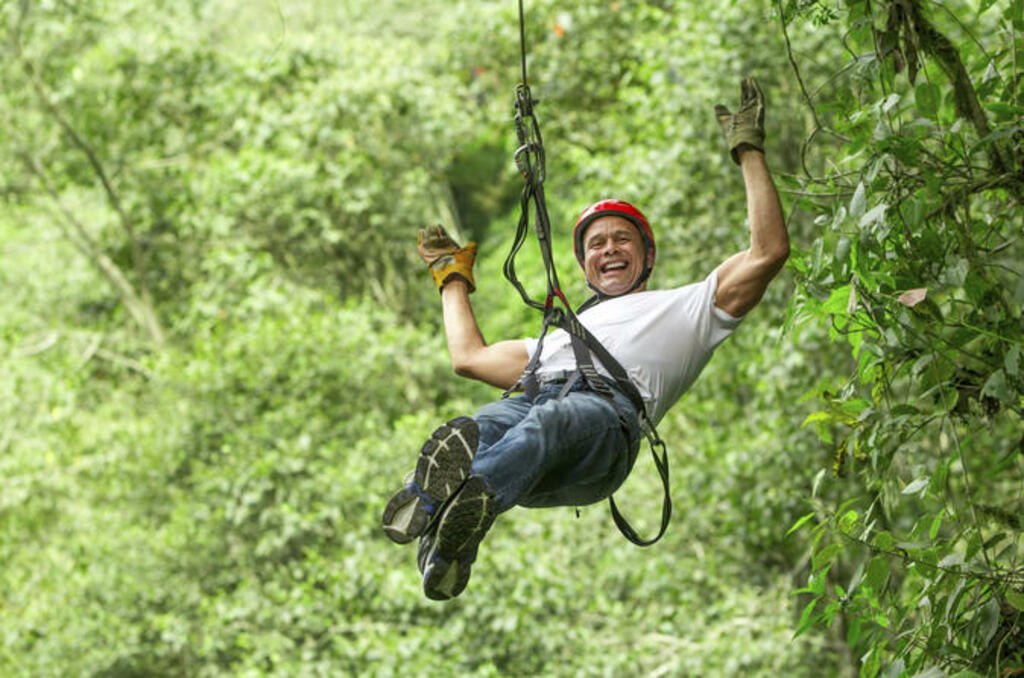 live the tarzan dream: rainforest canopy zipline experience