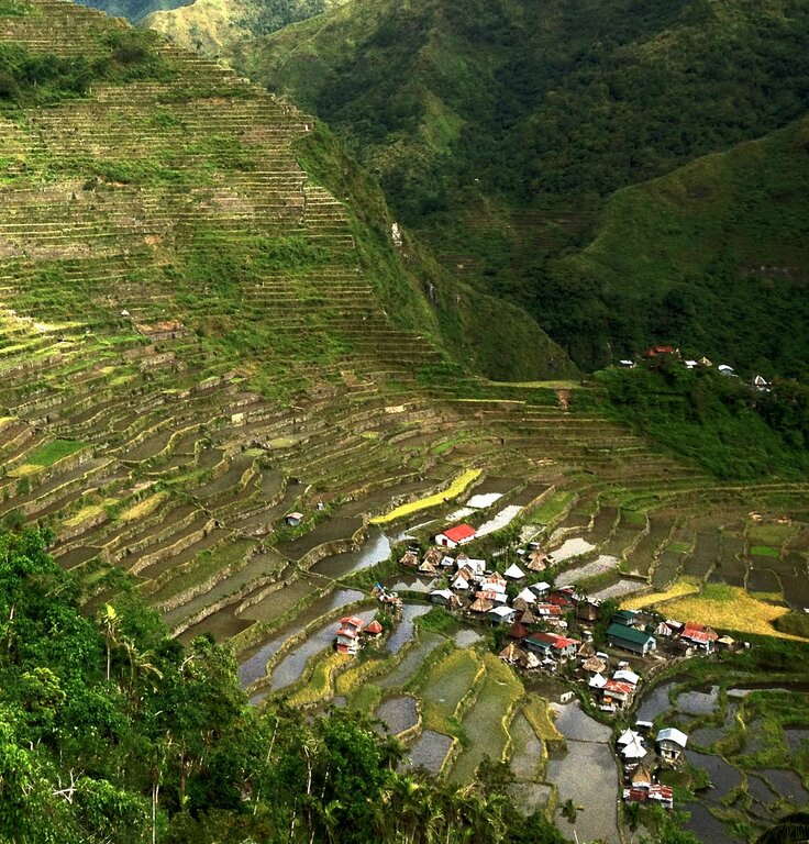 The rice terraces in Batad Village are part of the UNESCO World Heritage Site.