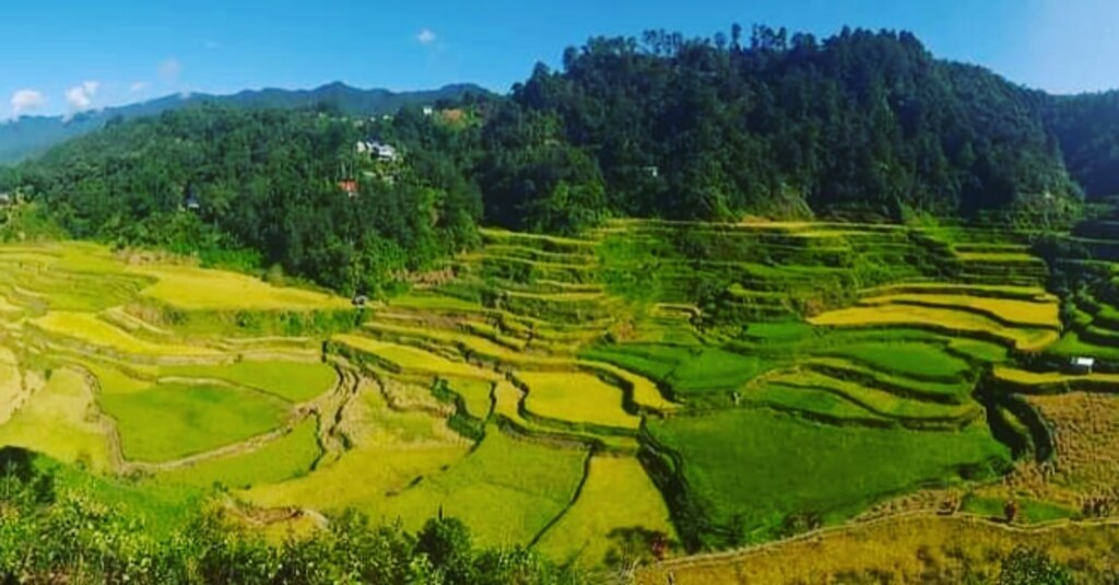 Banaue
