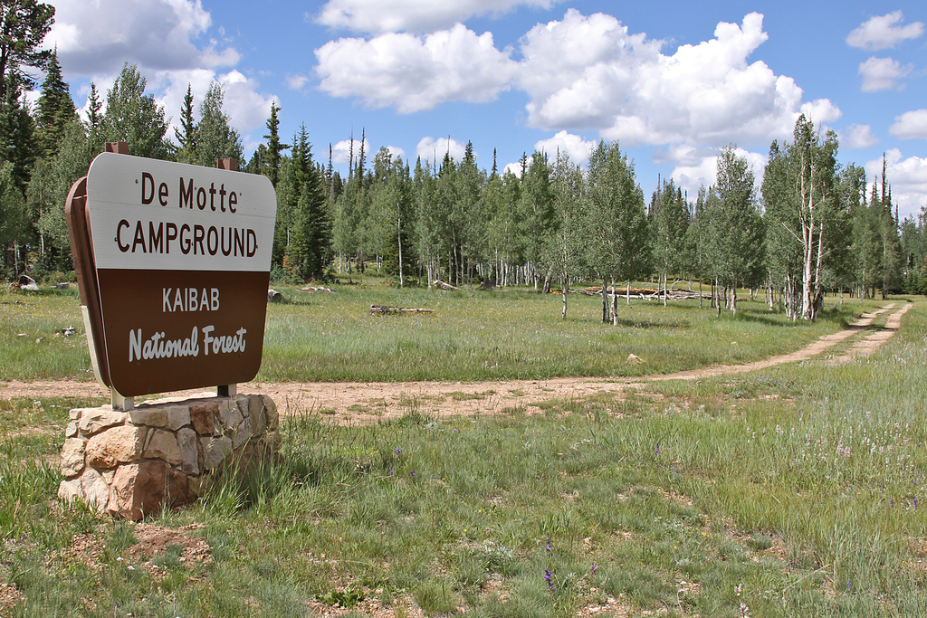 DeMotte Campground, North Kaibab Ranger District (4861753762)