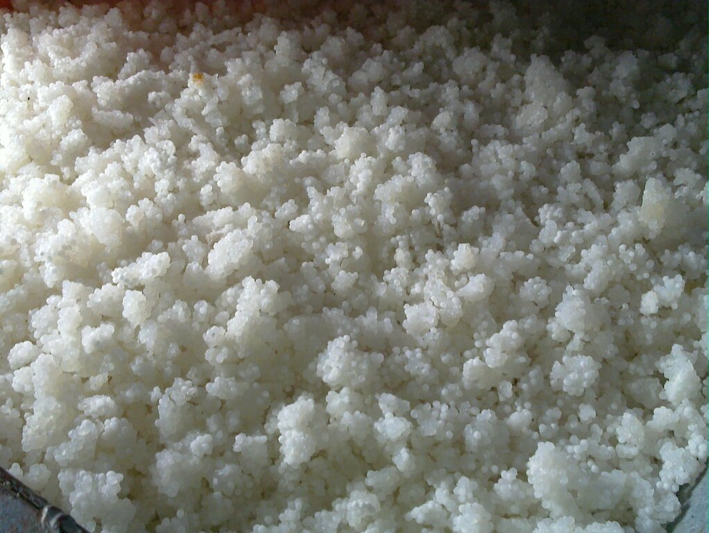 4 Sago pearls-big