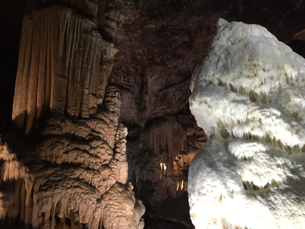 Interesting sights under the grounds