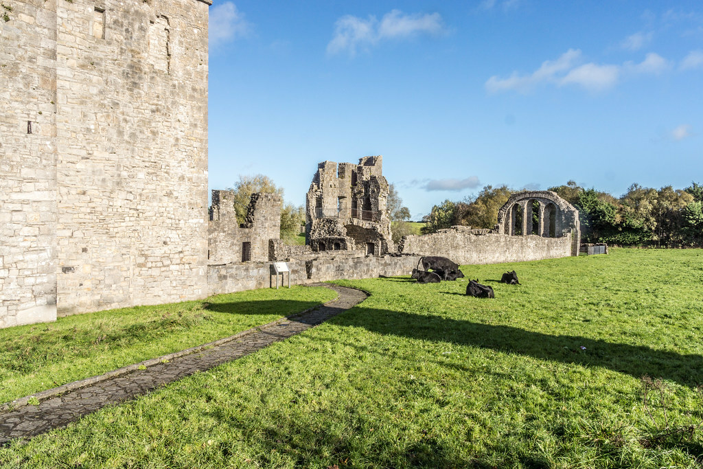 Priory Of St. John The Baptist In Trim County Meath [Ireland]