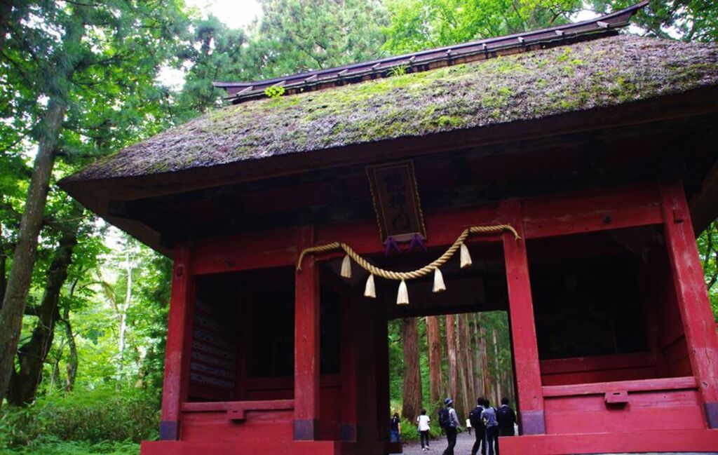 Hike through winding cedar woods to the Togakushi Shrine