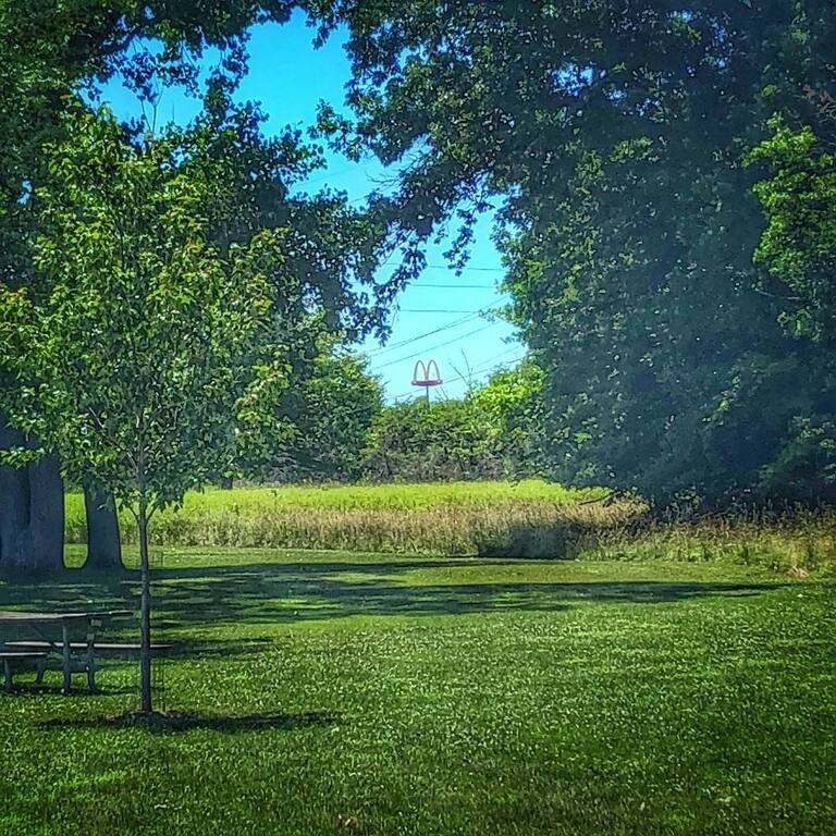 things to do in elyria oh | unwind in the picnic areas of black river reservation