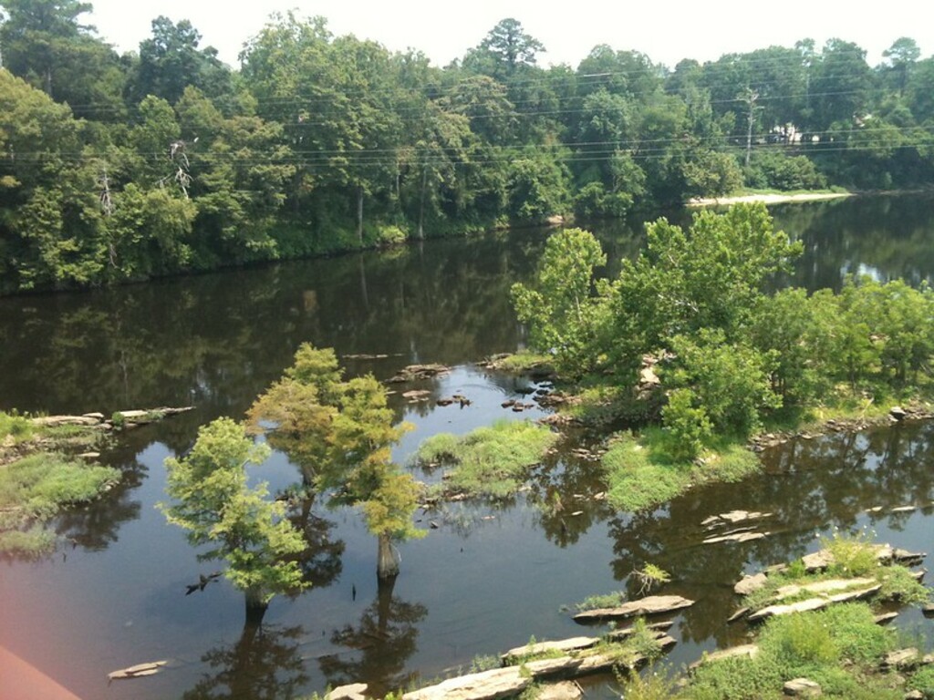 From the Wetumpka Bibbs Graves Bridge