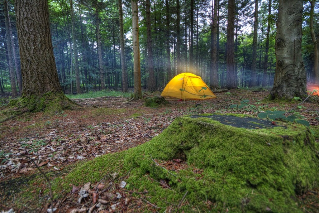Erie campsite