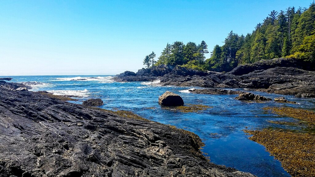 Botanical Beach Provincial Park