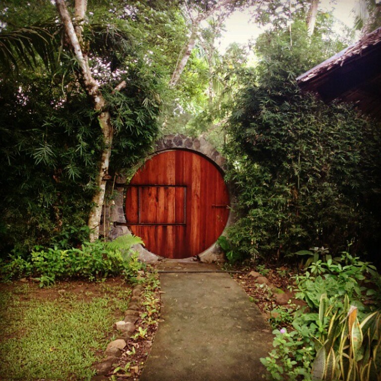 things to do in bohol philippines | see the beautiful butterflies at bohol habitat conservation conservatory