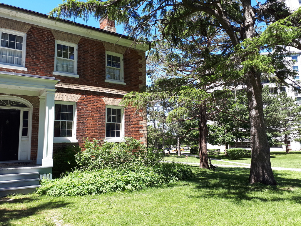 Mature trees at Gibson House (1)