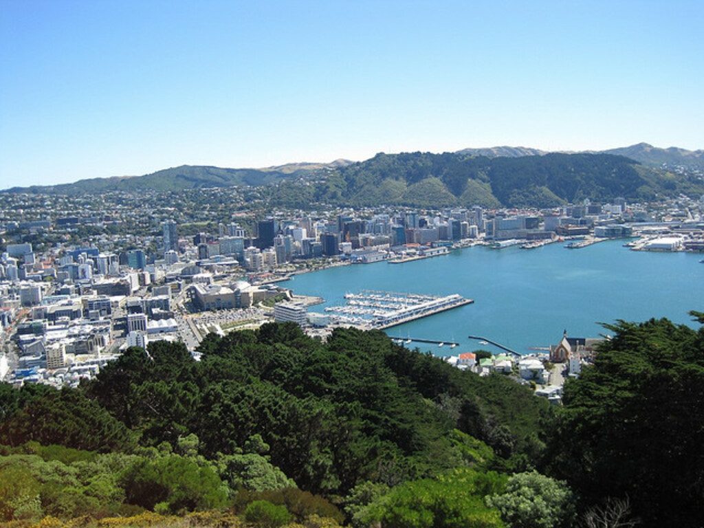 Wellington from Mount Victoria