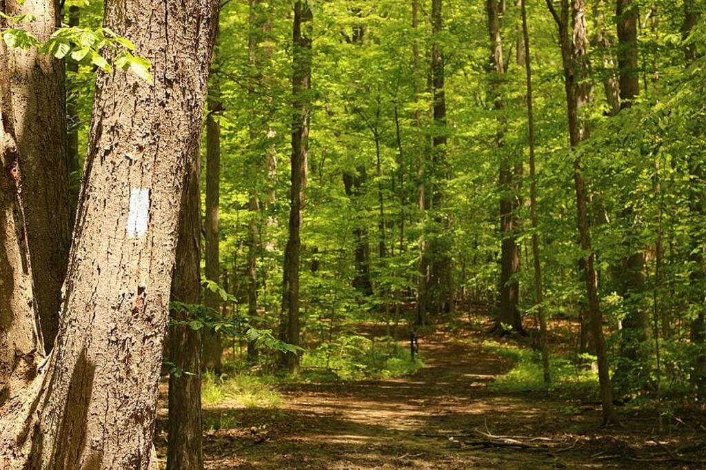 North Chagrin Metropark Buckeye Trail