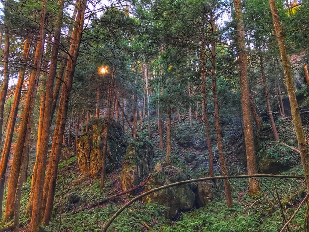 A few pictures from Conkle’s Hollow State Nature Preserve shot on iPhone.