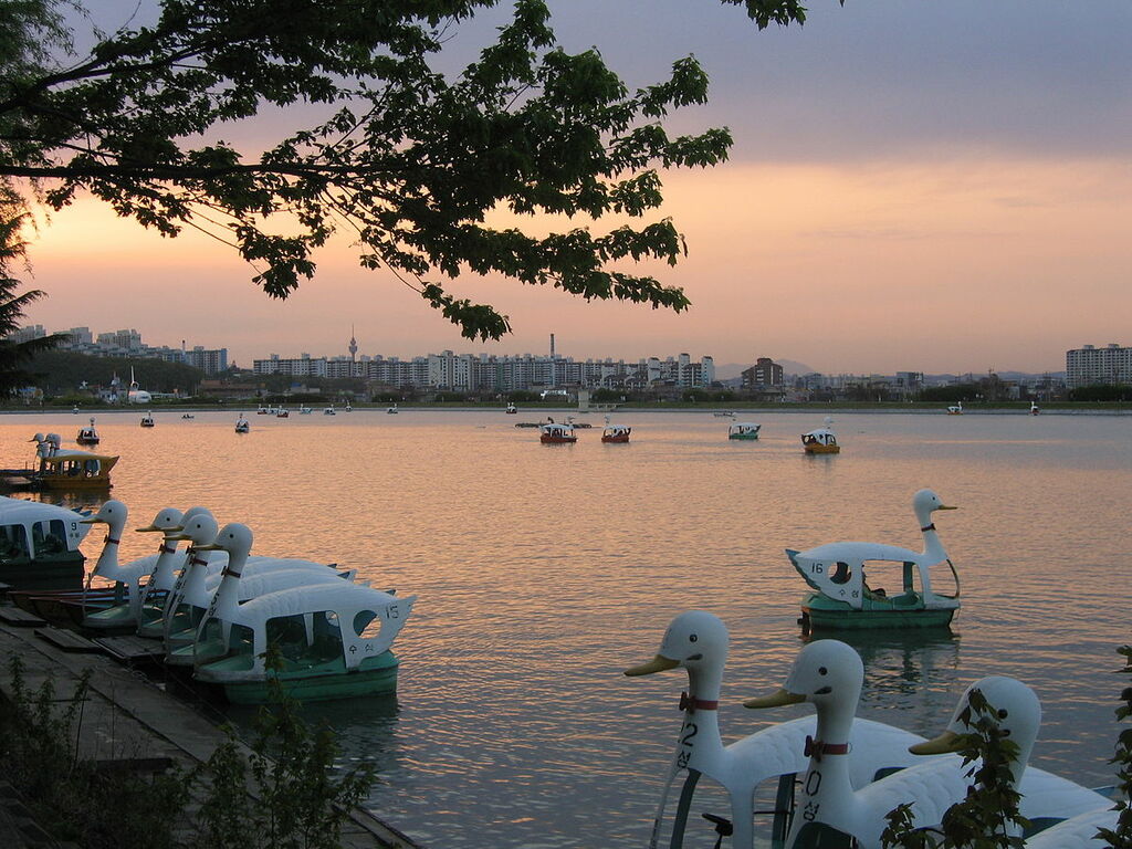 Suseonglakeducks