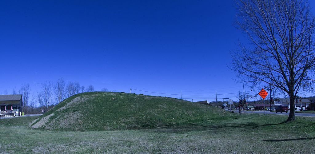 The western side of Nikwasi Mound (31Ma2). (32347857503)