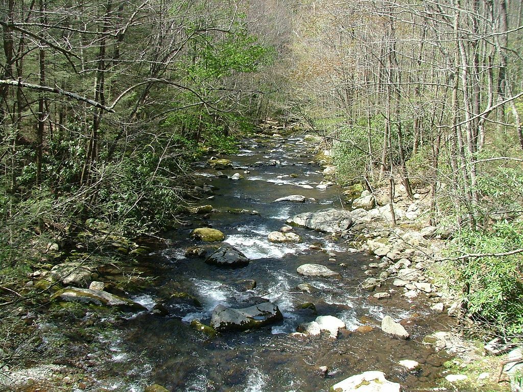 Middle Prong Little River