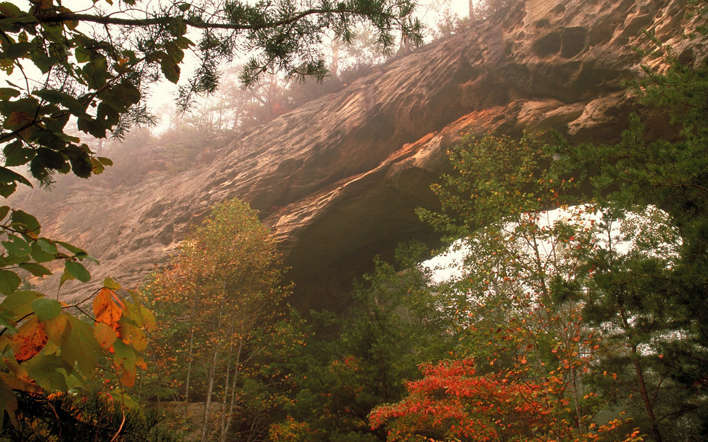 Fall Color at Natural Arch - Sterns RD - Daniel Boone National Forest