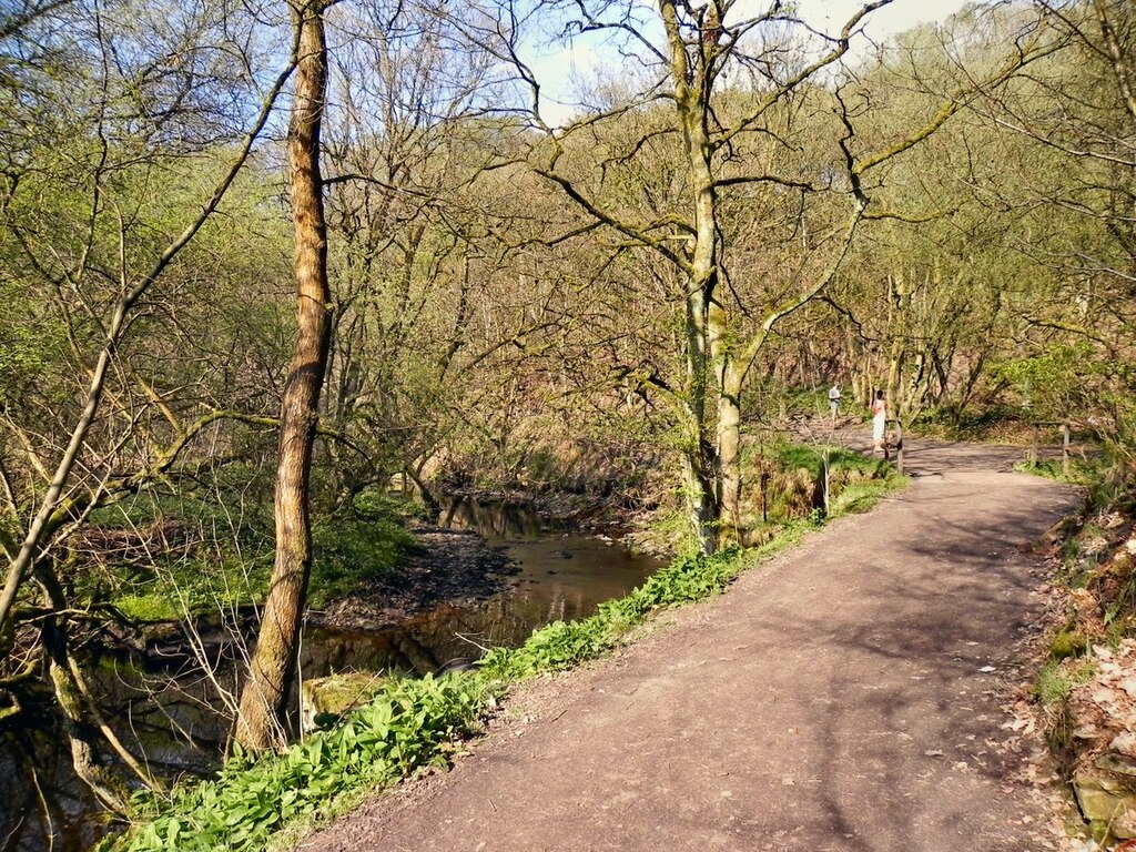 Bradshaw Brook, Jumbles Country Park - geograph.org.uk - 2363528