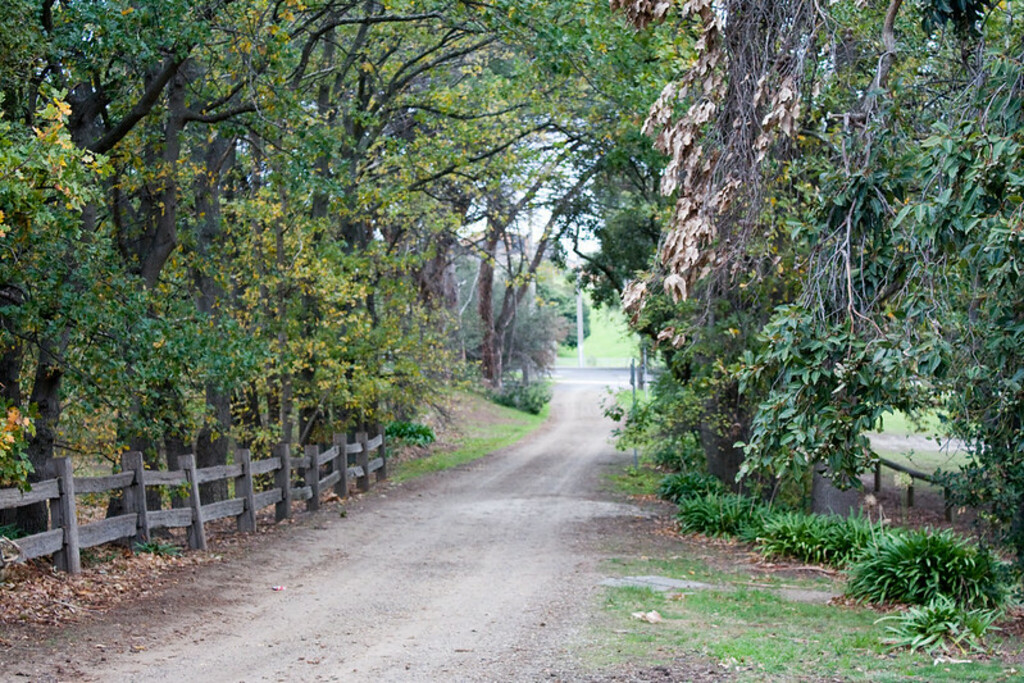 Homestead driveway