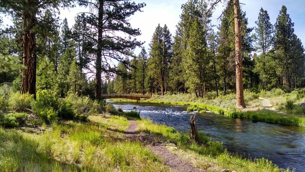 Creek park
