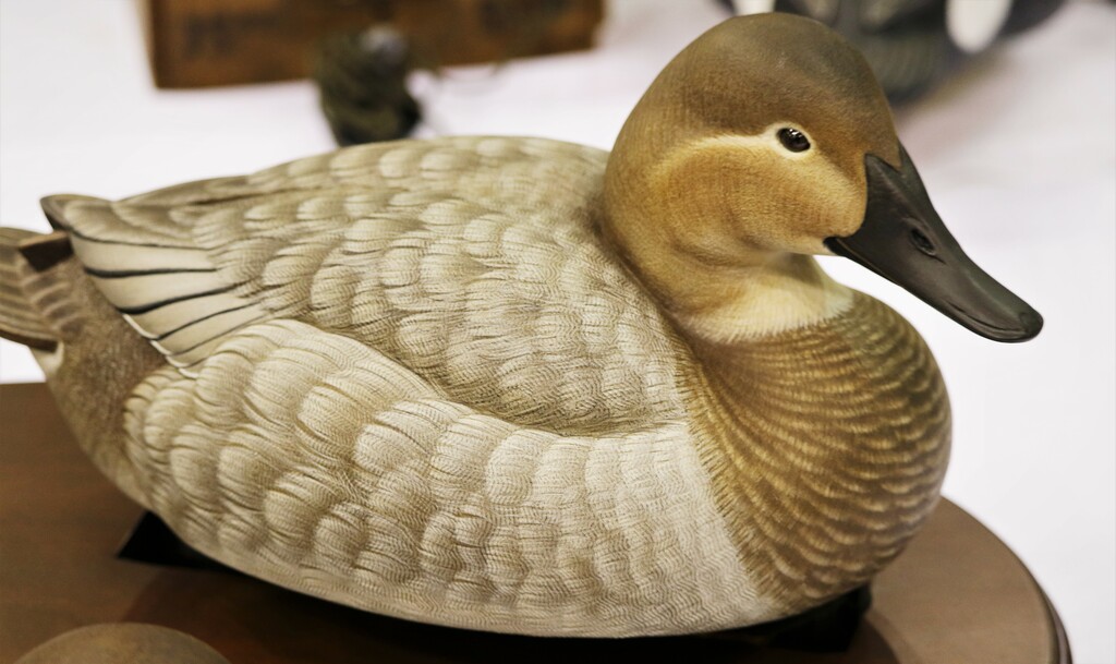 Decoy in Ocean City "Ward World Championship"