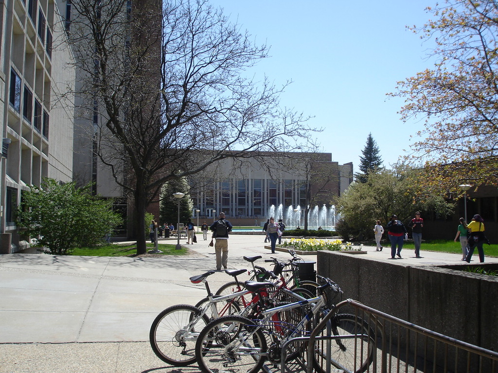 West Michigan University