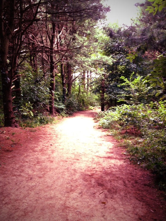 Trail Run