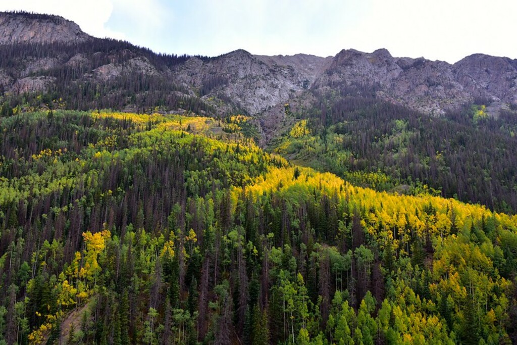 Alpine Loop
