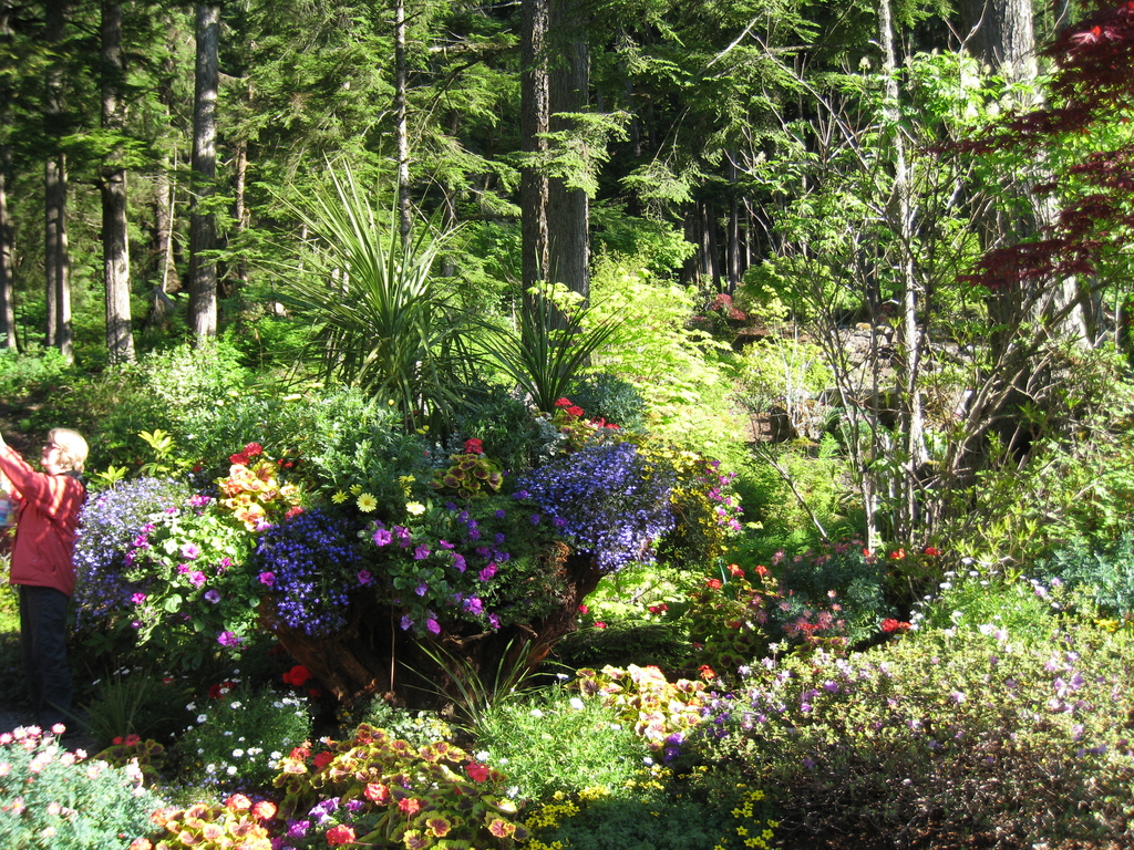 Glacier Gardens outside Juneau, features plantings in upturned trees