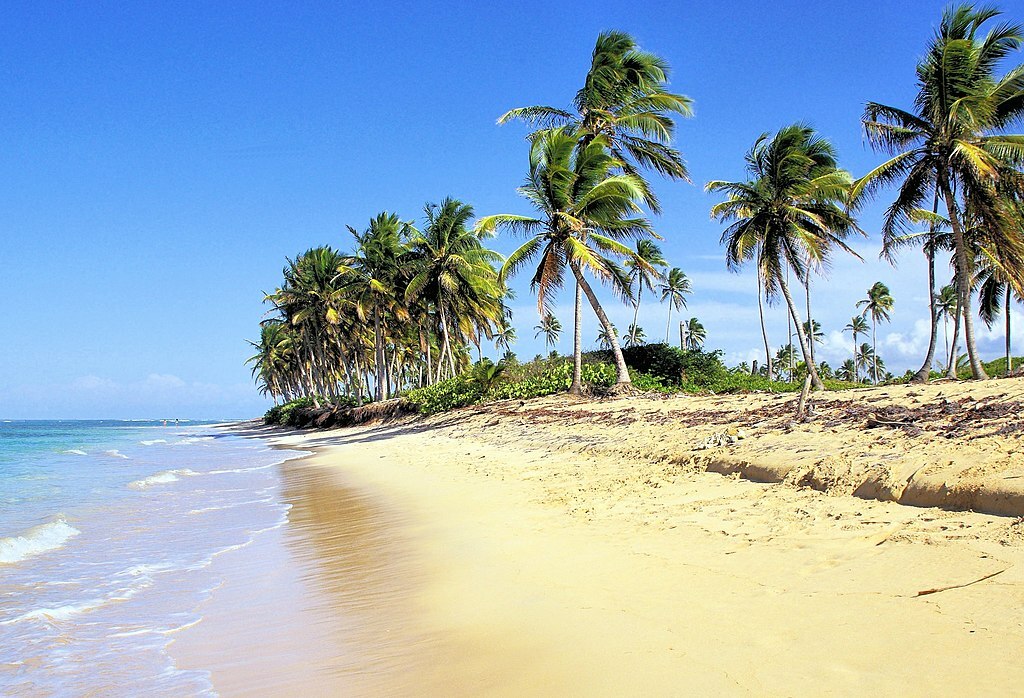 Dominican Republic Beach Bavaro Tropics