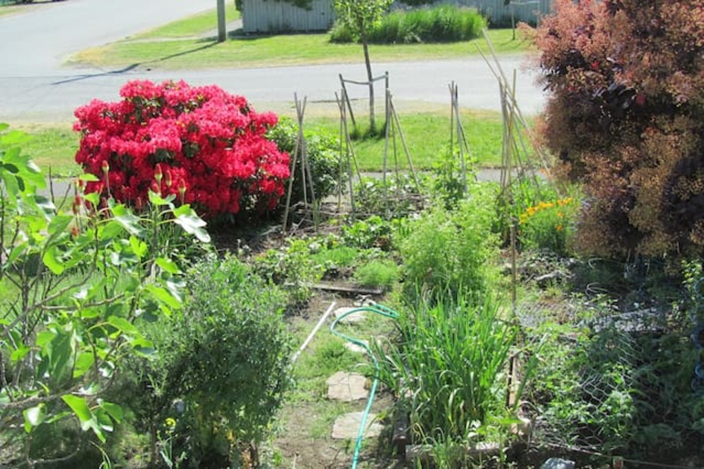 Top 13 Airbnb Vacation Rentals In Ladysmith, Canada Updated 2023