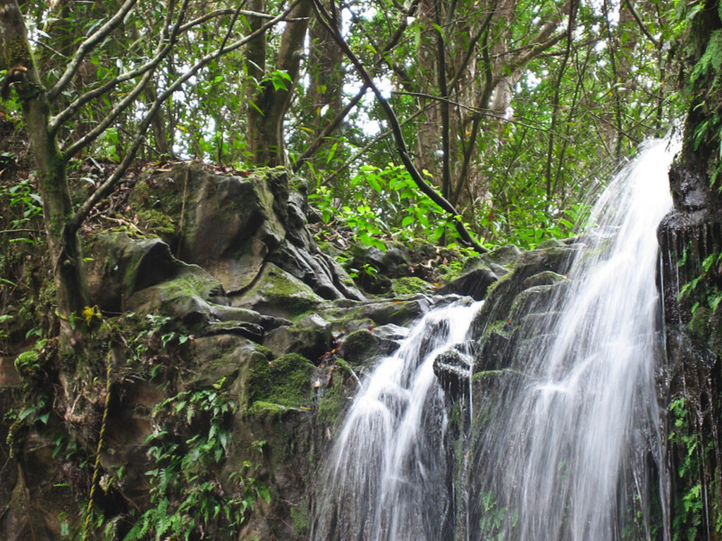 Twin Falls.