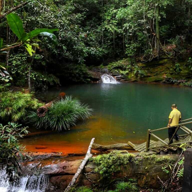 experience the rainforest at this tour of borneo tropical rainforest resort