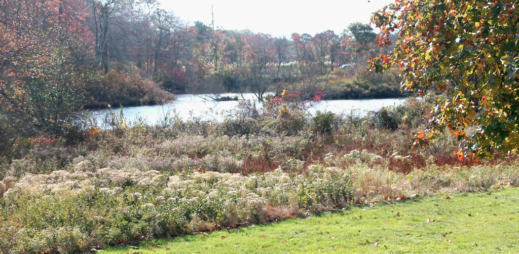 Connetquot State Park on Long Island