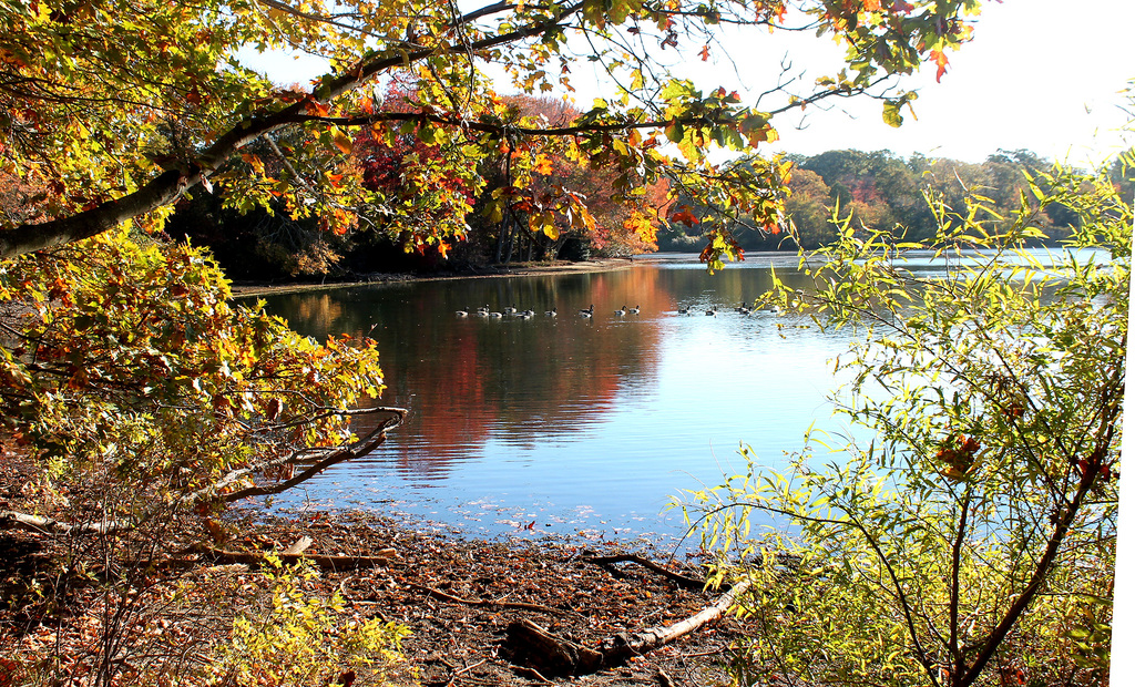 Hempstead Lakes