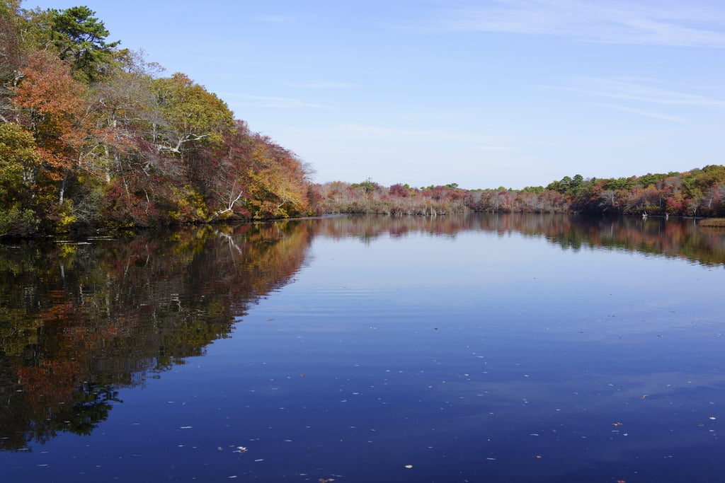 Carman's River