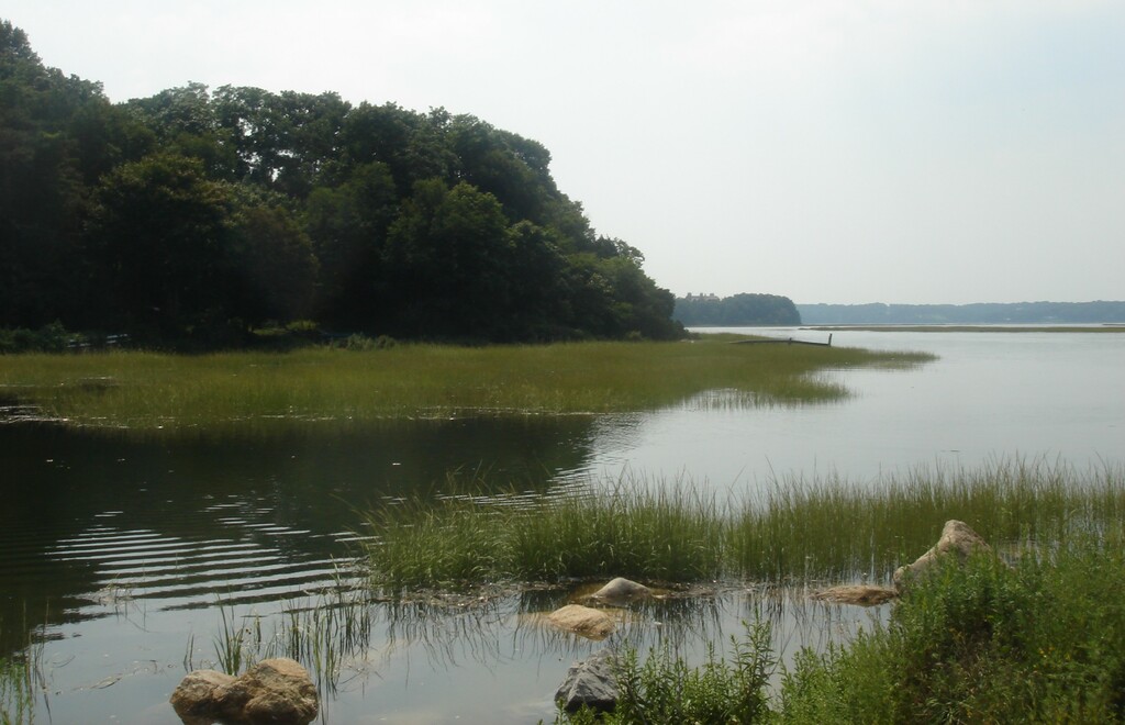Stony Brook Harbor